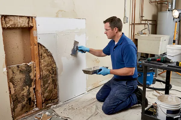 Mold and Drywall Repair Victorville