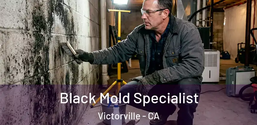 Black Mold Specialist Victorville - CA