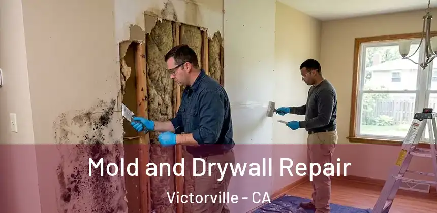  Mold and Drywall Repair Victorville - CA