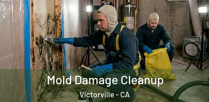  Mold Damage Cleanup Victorville - CA