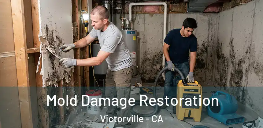  Mold Damage Restoration Victorville - CA