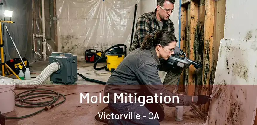  Mold Mitigation Victorville - CA