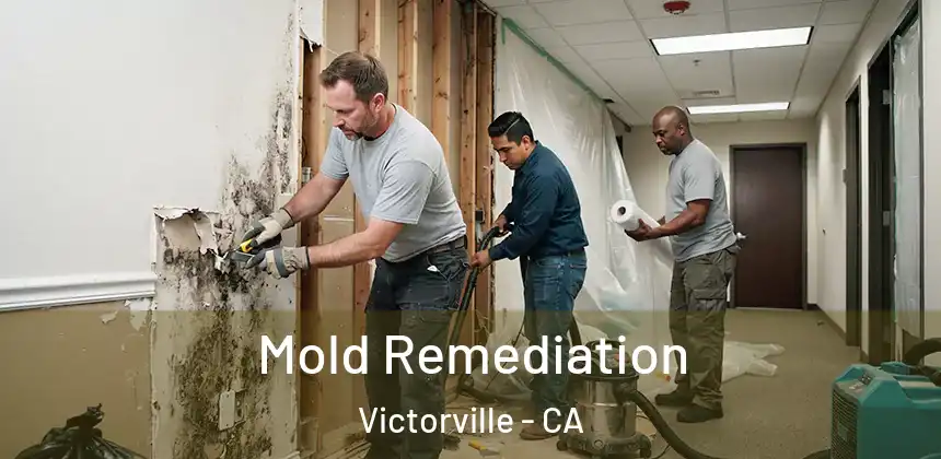  Mold Remediation Victorville - CA