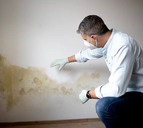 Mold Removal Service in Victorville, CA