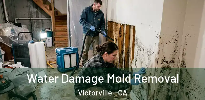 Water Damage Mold Removal Victorville - CA